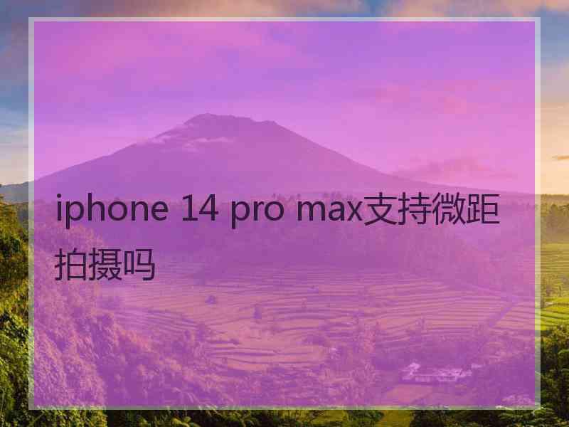 iphone 14 pro max支持微距拍摄吗