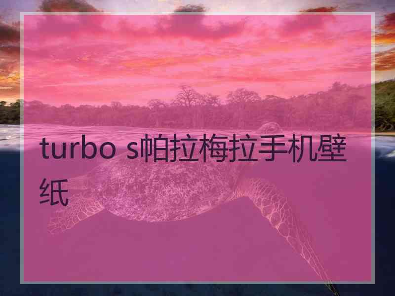 turbo s帕拉梅拉手机壁纸