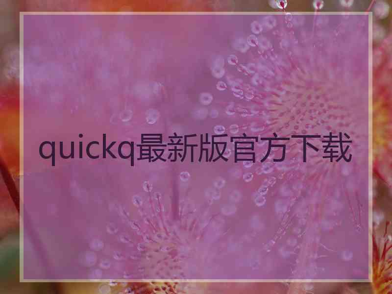 quickq最新版官方下载