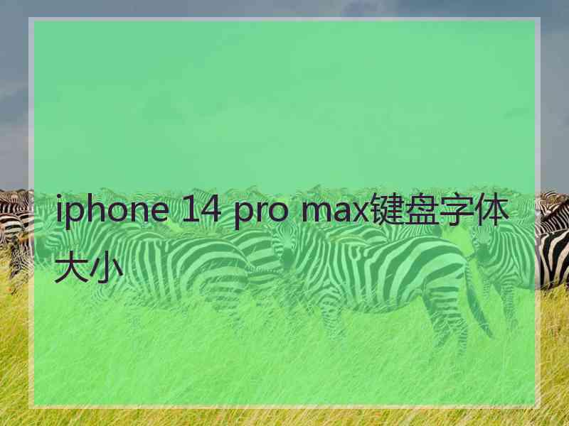 iphone 14 pro max键盘字体大小