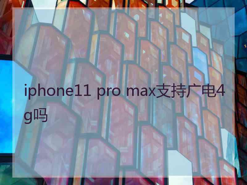 iphone11 pro max支持广电4g吗