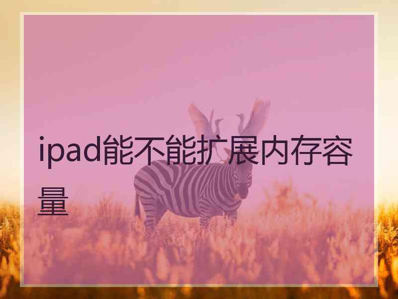 ipad能不能扩展内存容量