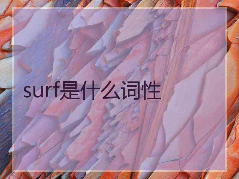 surf是什么词性