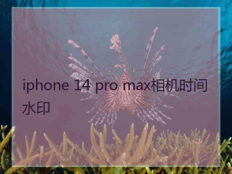 iphone 14 pro max相机时间水印