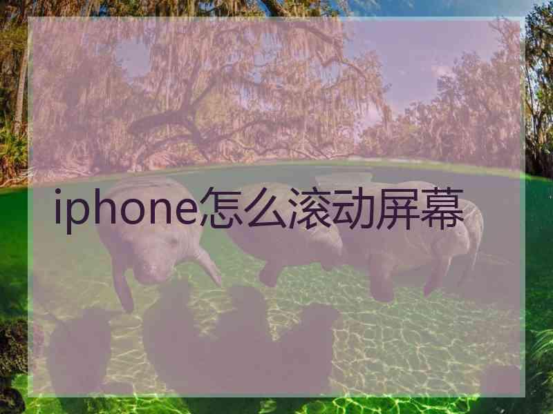 iphone怎么滚动屏幕