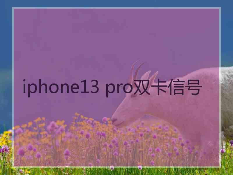 iphone13 pro双卡信号