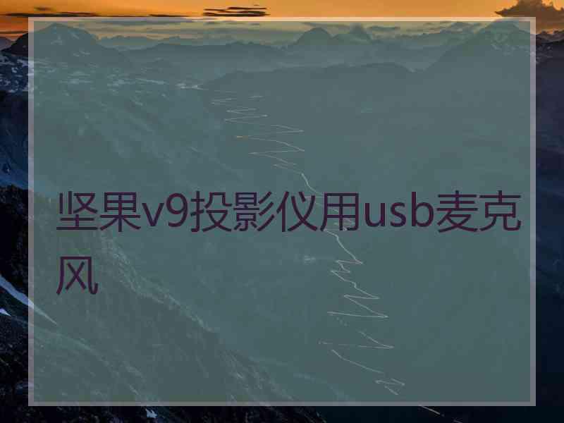 坚果v9投影仪用usb麦克风