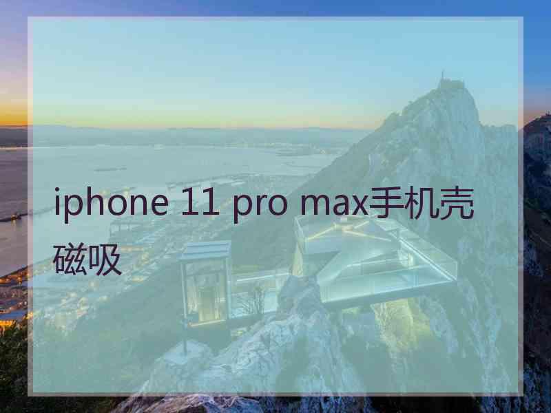 iphone 11 pro max手机壳磁吸