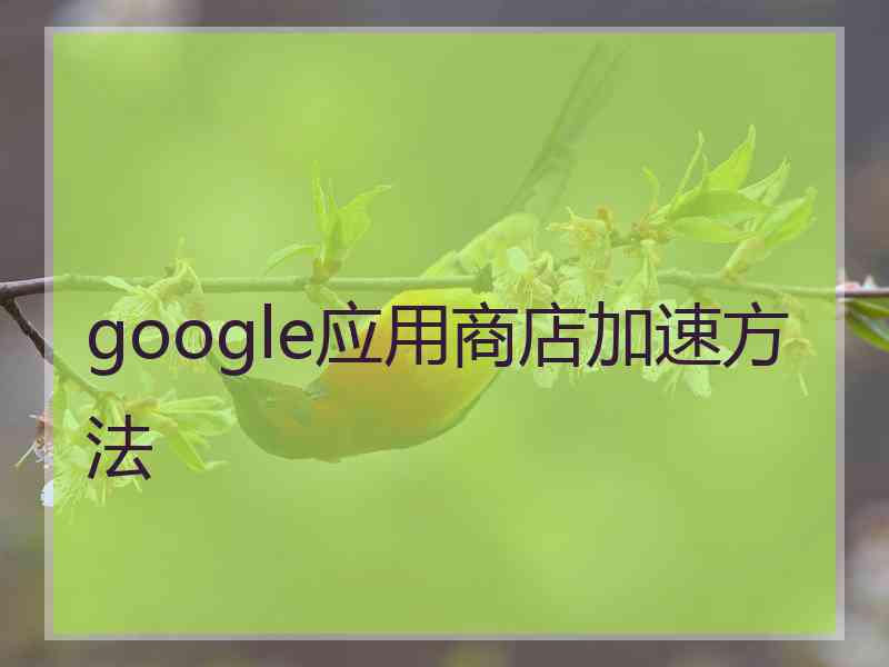 google应用商店加速方法