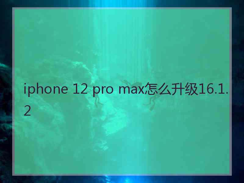 iphone 12 pro max怎么升级16.1.2