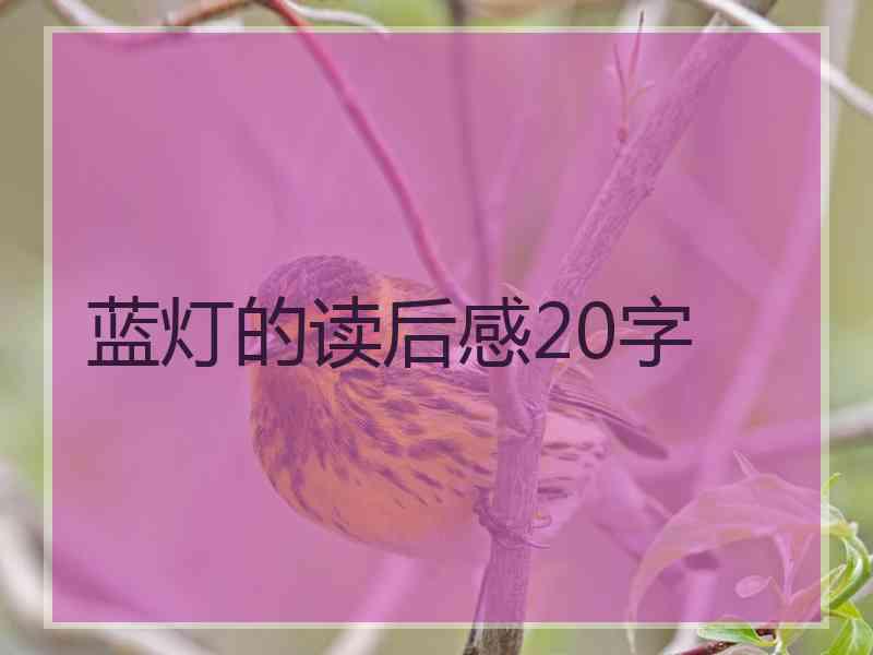 蓝灯的读后感20字