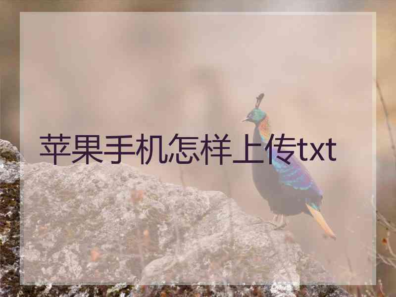 苹果手机怎样上传txt