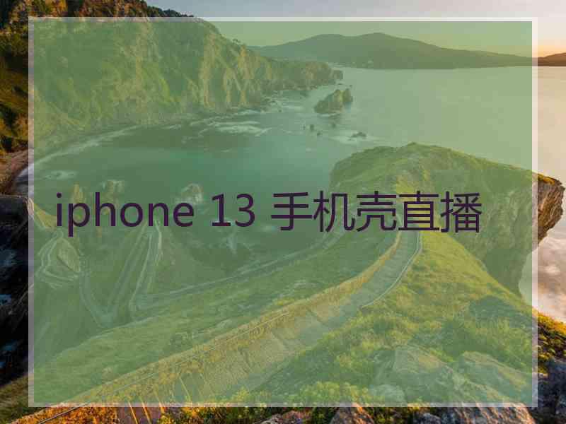 iphone 13 手机壳直播