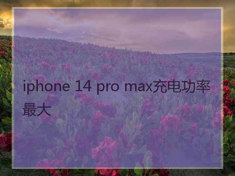 iphone 14 pro max充电功率最大