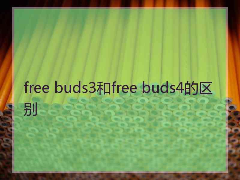 free buds3和free buds4的区别