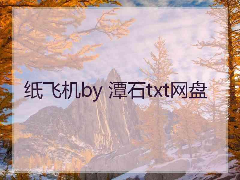 纸飞机by 潭石txt网盘