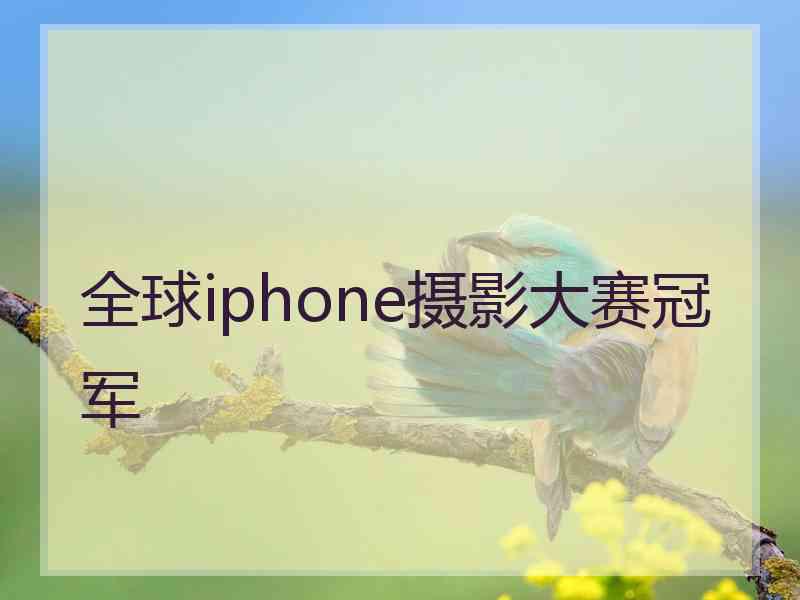 全球iphone摄影大赛冠军