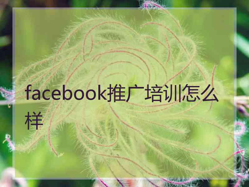 facebook推广培训怎么样