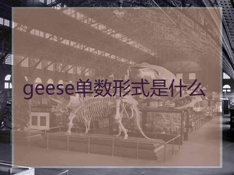 geese单数形式是什么