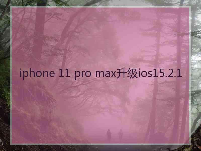 iphone 11 pro max升级ios15.2.1