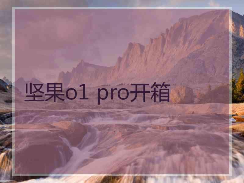 坚果o1 pro开箱