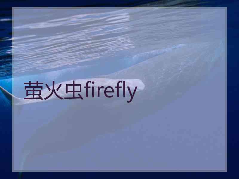 萤火虫firefly