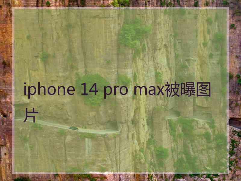 iphone 14 pro max被曝图片