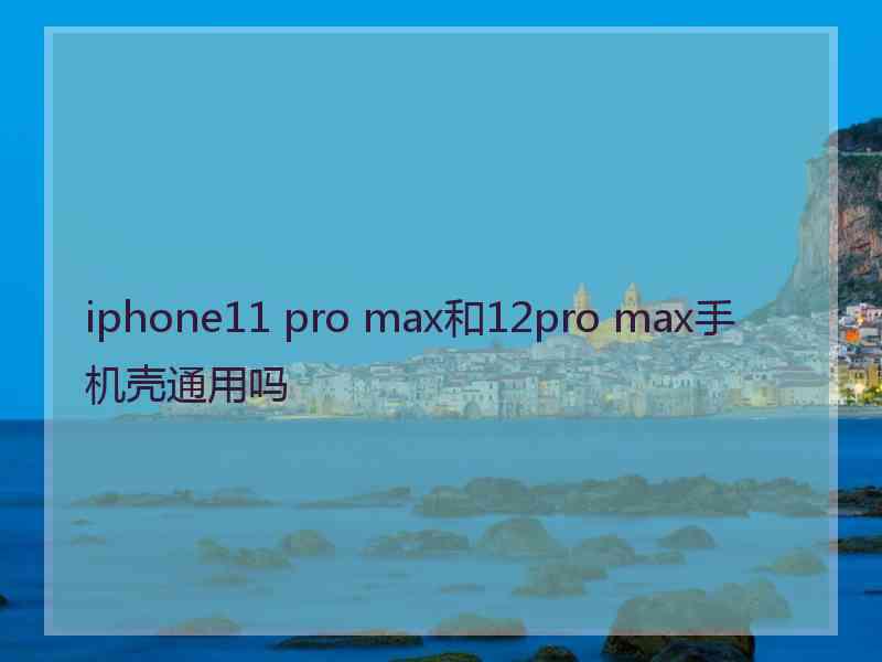 iphone11 pro max和12pro max手机壳通用吗