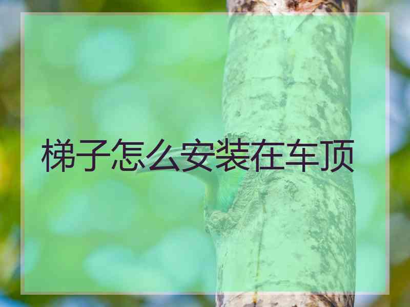 梯子怎么安装在车顶