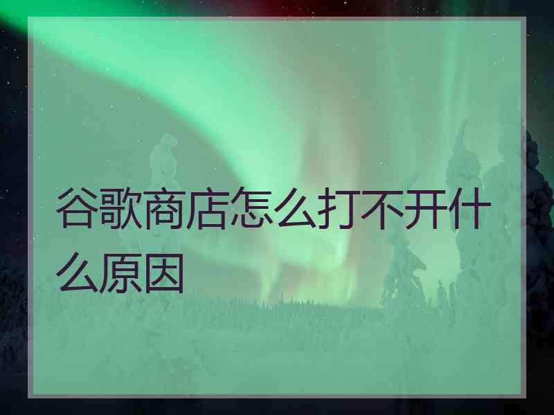 谷歌商店怎么打不开什么原因