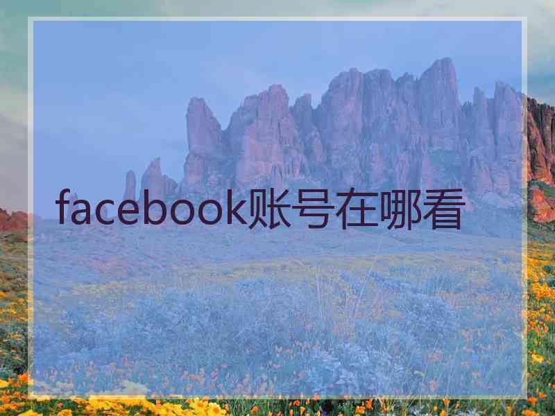 facebook账号在哪看