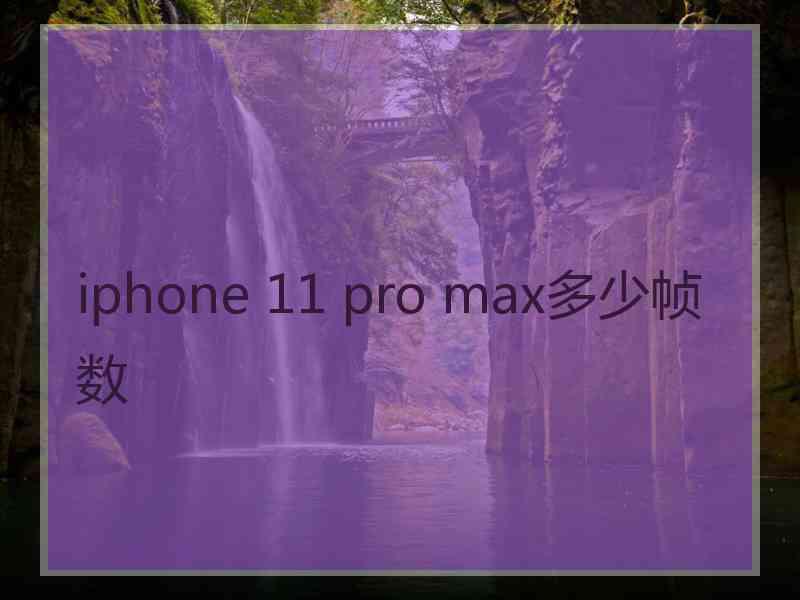 iphone 11 pro max多少帧数