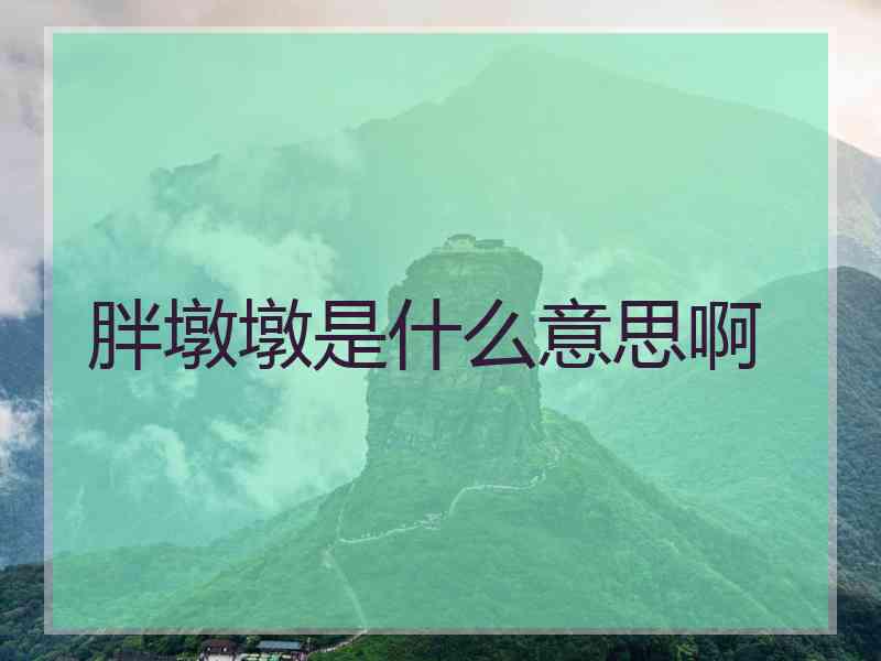 胖墩墩是什么意思啊