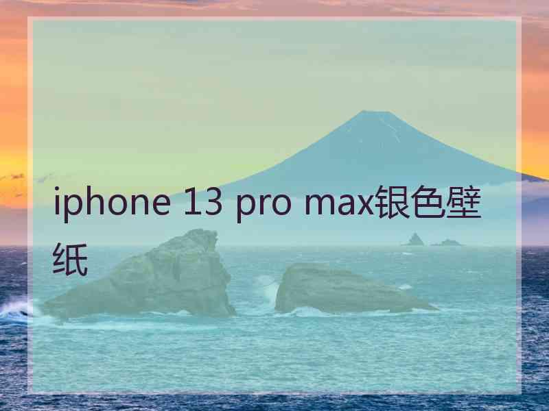 iphone 13 pro max银色壁纸