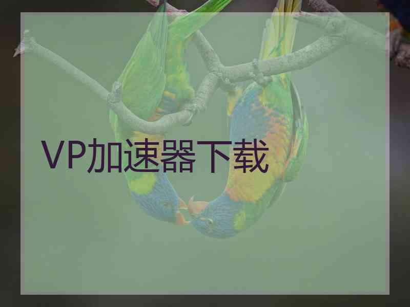 VP加速器下载