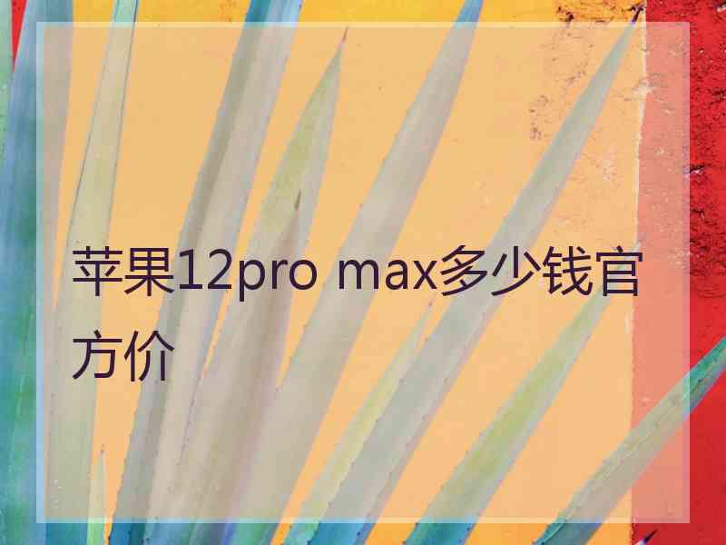 苹果12pro max多少钱官方价