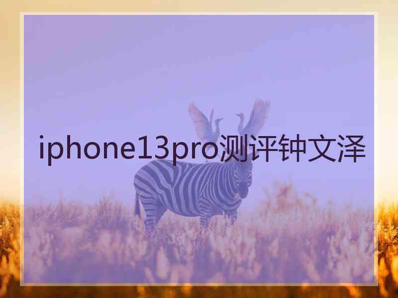 iphone13pro测评钟文泽