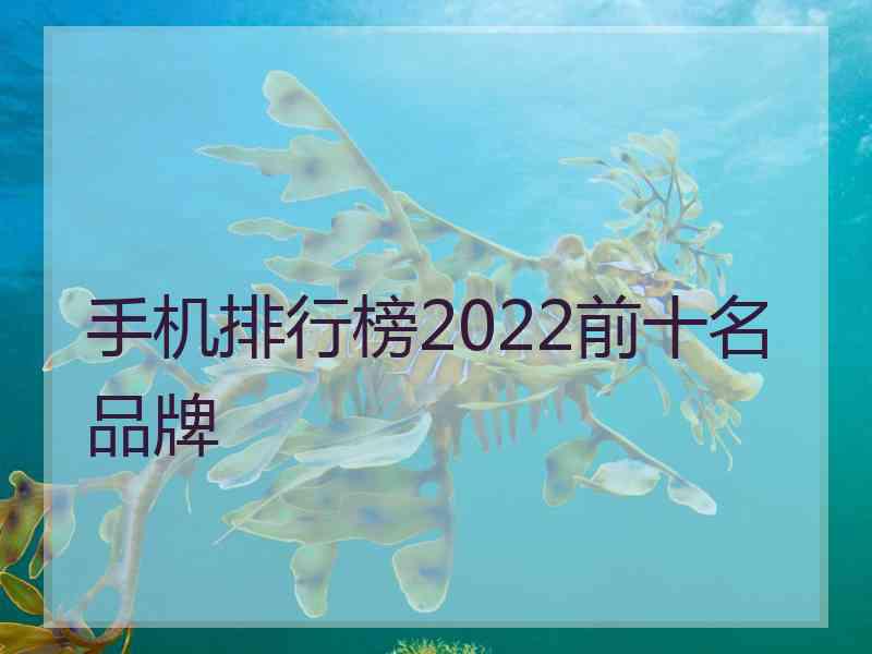 手机排行榜2022前十名品牌