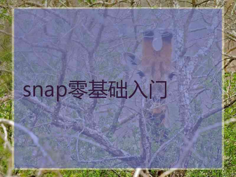 snap零基础入门