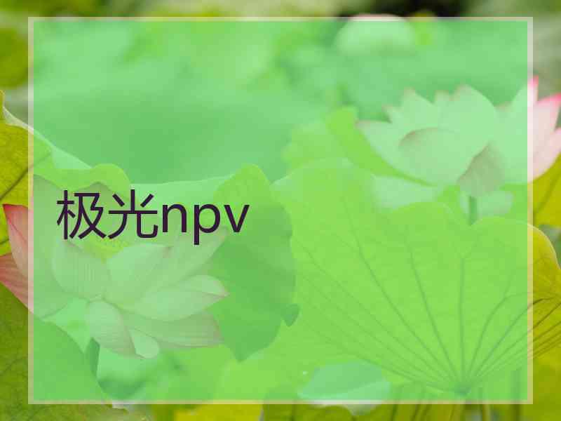 极光npv