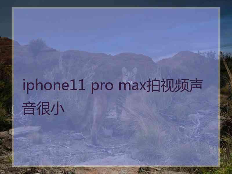 iphone11 pro max拍视频声音很小