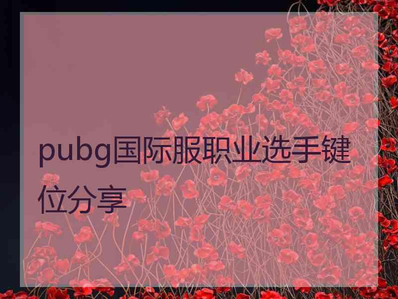 pubg国际服职业选手键位分享