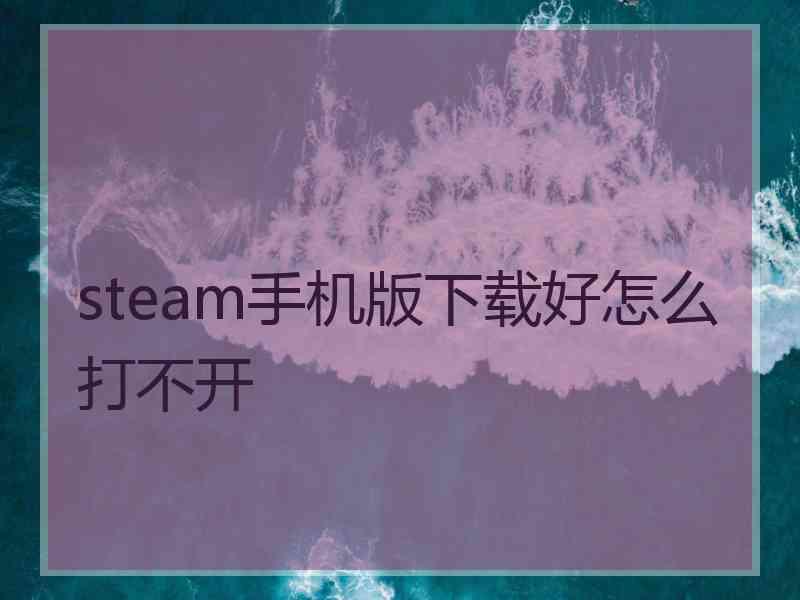 steam手机版下载好怎么打不开