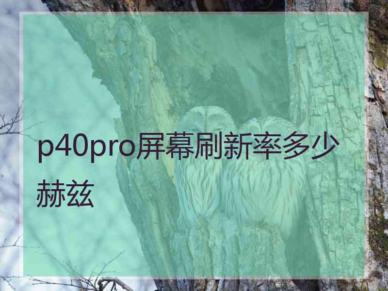 p40pro屏幕刷新率多少赫兹