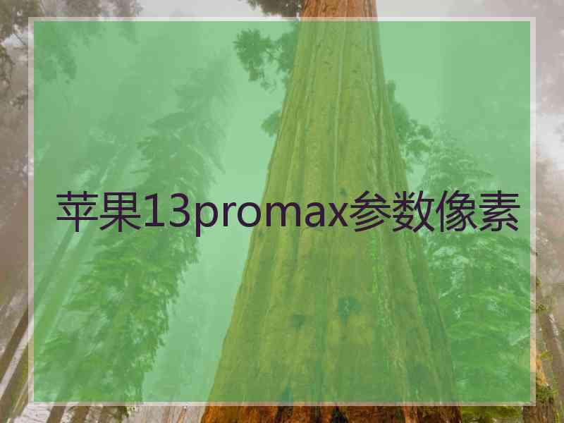 苹果13promax参数像素