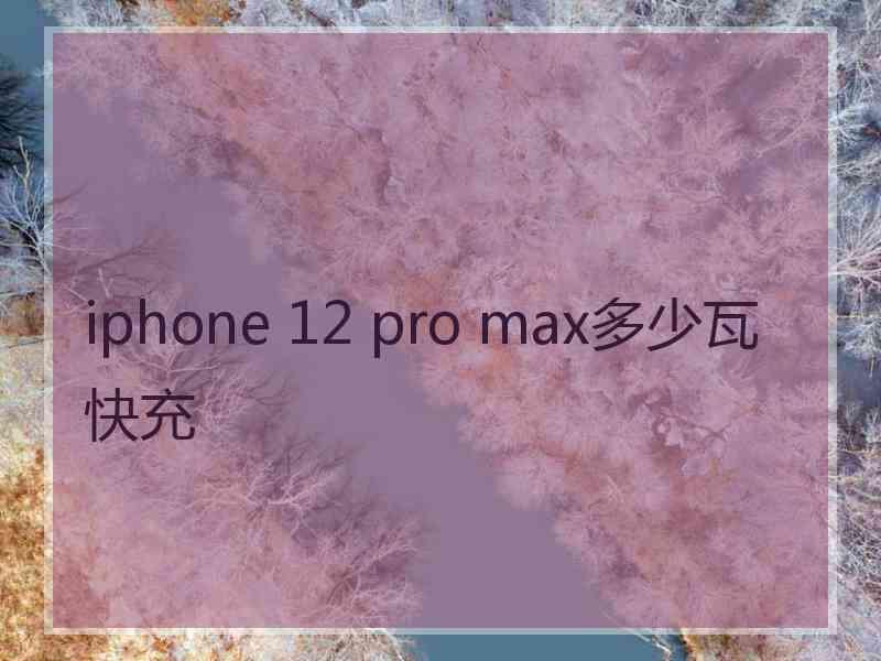 iphone 12 pro max多少瓦快充