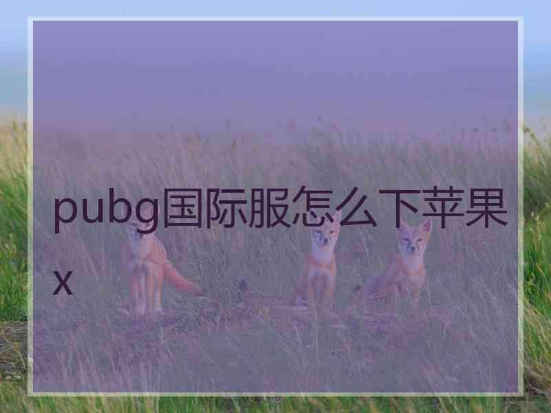 pubg国际服怎么下苹果x