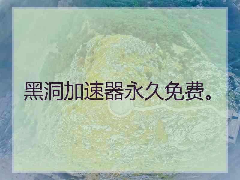 黑洞加速器永久免费。