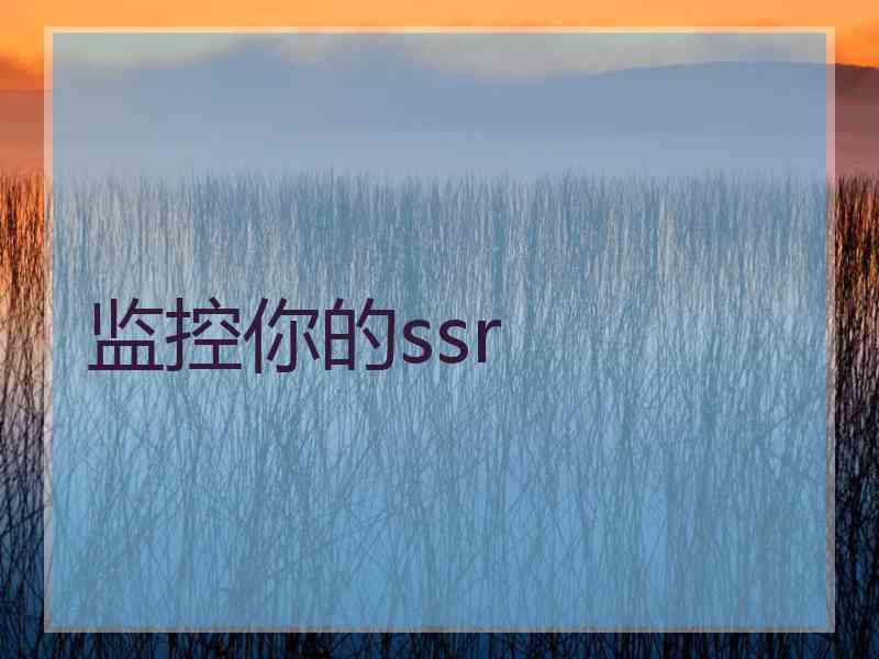 监控你的ssr