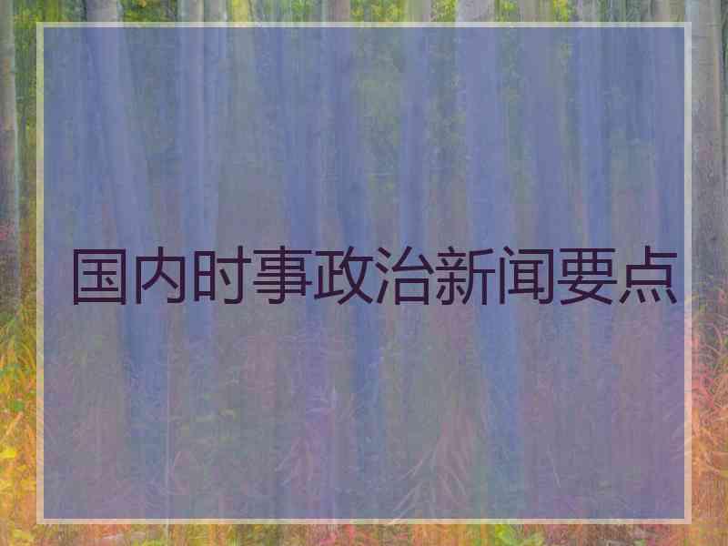 国内时事政治新闻要点